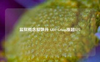 监狱概念股飙升 GEO Group涨超32%