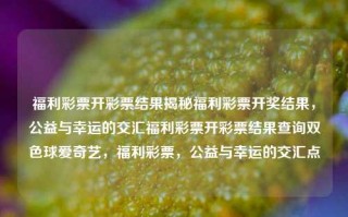 福利彩票开彩票结果揭秘福利彩票开奖结果，公益与幸运的交汇福利彩票开彩票结果查询双色球爱奇艺，福利彩票，公益与幸运的交汇点，福利彩票，公益与幸运的交汇点