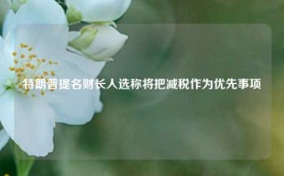 特朗普提名财长人选称将把减税作为优先事项