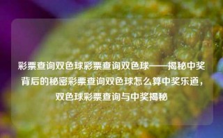 彩票查询双色球彩票查询双色球——揭秘中奖背后的秘密彩票查询双色球怎么算中奖乐道，双色球彩票查询与中奖揭秘，双色球彩票查询与中奖揭秘，如何轻松掌握中奖秘诀