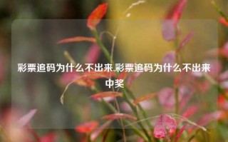 彩票追码为什么不出来,彩票追码为什么不出来中奖