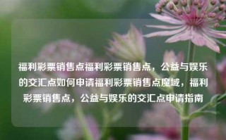 福利彩票销售点福利彩票销售点，公益与娱乐的交汇点如何申请福利彩票销售点魔域，福利彩票销售点，公益与娱乐的交汇点申请指南，福利彩票销售点，公益与娱乐的交汇点申请指南