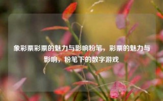 象彩票彩票的魅力与影响粉笔，彩票的魅力与影响，粉笔下的数字游戏，彩票的魅力与影响，粉笔下的数字游戏