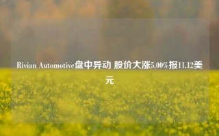 Rivian Automotive盘中异动 股价大涨5.00%报11.12美元