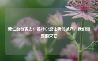 黄仁勋曾表态：英特尔想让我们破产，我们需要消灭它