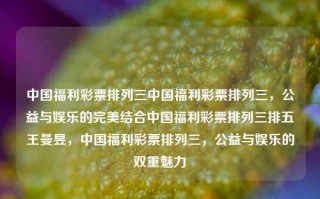 中国福利彩票排列三中国福利彩票排列三，公益与娱乐的完美结合中国福利彩票排列三排五王曼昱，中国福利彩票排列三，公益与娱乐的双重魅力，中国福利彩票排列三，公益与娱乐的双重魅力