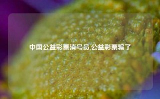 中国公益彩票消号员,公益彩票骗了