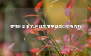 梦到彩票中了5元彩票,梦见彩票中奖五百万