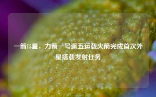 一箭15星，力箭一号遥五运载火箭完成首次外星搭载发射任务