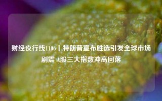 财经夜行线1106丨特朗普宣布胜选引发全球市场剧震 A股三大指数冲高回落