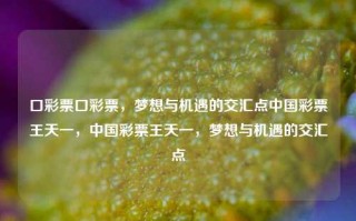 口彩票口彩票，梦想与机遇的交汇点中国彩票王天一，中国彩票王天一，梦想与机遇的交汇点，中国彩票王天一，梦想与机遇的交汇点