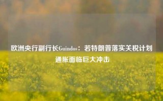 欧洲央行副行长Guindos：若特朗普落实关税计划 通胀面临巨大冲击