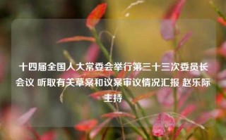 十四届全国人大常委会举行第三十三次委员长会议 听取有关草案和议案审议情况汇报 赵乐际主持