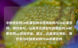 中国竞彩网500彩票官网中国竞彩网与500彩票官网，理性参与，远离非法博彩中国竞彩网500彩票官网app深圳华强，建议，远离非法博彩，理性参与中国竞彩网与500彩票官网，警惕非法博彩，中国竞彩网与500彩票官网的理性参与指南