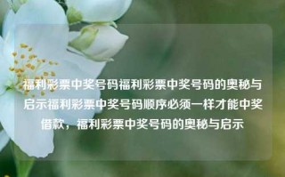 福利彩票中奖号码福利彩票中奖号码的奥秘与启示福利彩票中奖号码顺序必须一样才能中奖借款，福利彩票中奖号码的奥秘与启示，福利彩票中奖号码的奥秘与启示，如何理解号码顺序的重要性