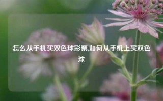 怎么从手机买双色球彩票,如何从手机上买双色球