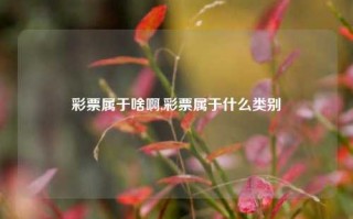 彩票属于啥啊,彩票属于什么类别