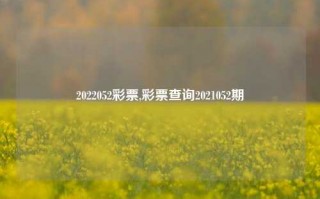 2022052彩票,彩票查询2021052期