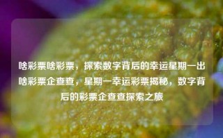 啥彩票啥彩票，探索数字背后的幸运星期一出啥彩票企查查，星期一幸运彩票揭秘，数字背后的彩票企查查探索之旅，星期一幸运彩票揭秘，数字背后的企查查探索之旅