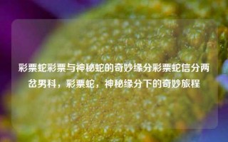 彩票蛇彩票与神秘蛇的奇妙缘分彩票蛇信分两岔男科，彩票蛇，神秘缘分下的奇妙旅程，彩票蛇，神秘缘分下的奇妙旅程