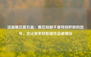 洁丽雅总裁石晶：霸总短剧不是特别积极的信号，会让很多好影视作品被埋没