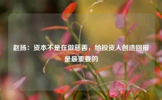 赵扬：资本不是在做慈善，给投资人创造回报是最重要的