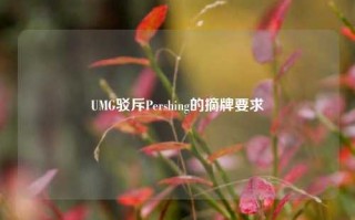 UMG驳斥Pershing的摘牌要求