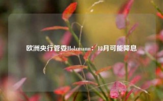 欧洲央行管委Holzmann：12月可能降息