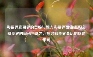 彩票界彩票界的奥秘与魅力彩票界面储能系统，彩票界的奥秘与魅力，探寻彩票界背后的储能系统，彩票界的奥秘与魅力，探寻背后的储能系统与彩民心声