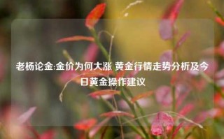 老杨论金:金价为何大涨 黄金行情走势分析及今日黄金操作建议