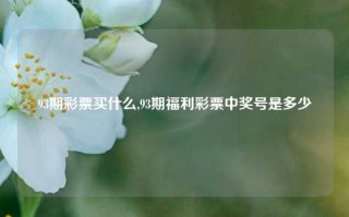 93期彩票买什么,93期福利彩票中奖号是多少