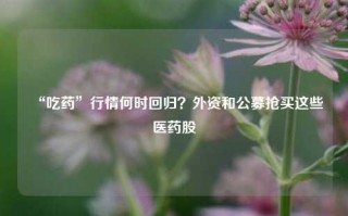 “吃药”行情何时回归？外资和公募抢买这些医药股