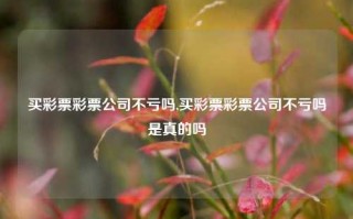 买彩票彩票公司不亏吗,买彩票彩票公司不亏吗是真的吗