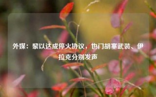 外媒：黎以达成停火协议，也门胡塞武装、伊拉克分别发声