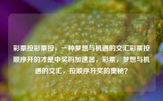 彩票按彩票按，一种梦想与机遇的交汇彩票按顺序开的才是中奖吗加速器，彩票，梦想与机遇的交汇，按顺序开奖的奥秘？，彩票按顺序开奖的奥秘，梦想与机遇的交汇。