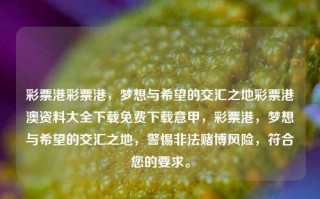 彩票港彩票港，梦想与希望的交汇之地彩票港澳资料大全下载免费下载意甲，彩票港，梦想与希望的交汇之地，警惕非法赌博风险，符合您的要求。，彩票港，梦想与希望交汇的警戒之地，既包含了您提供的内容中的核心元素，又强调了警惕非法赌博风险的重要性。希望符合您的要求。