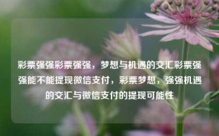 彩票强强彩票强强，梦想与机遇的交汇彩票强强能不能提现微信支付，彩票梦想，强强机遇的交汇与微信支付的提现可能性，彩票强强，梦想与机遇的交汇，微信支付提现可能性探讨