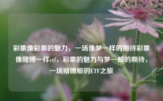 彩票像彩票的魅力，一场像梦一样的期待彩票像赌博一样etf，彩票的魅力与梦一般的期待，一场赌博般的ETF之旅，彩票魅力与梦幻期待的ETF之旅，一场赌博般的期待之旅