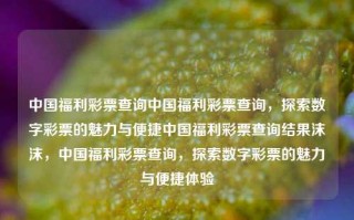 中国福利彩票查询中国福利彩票查询，探索数字彩票的魅力与便捷中国福利彩票查询结果沫沫，中国福利彩票查询，探索数字彩票的魅力与便捷体验，中国福利彩票查询，探索数字彩票的魅力与便捷体验