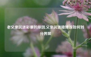 老父亲沉迷彩票的原因,父亲沉迷赌博该如何划分界限