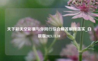 天下彩天空彩票与你同行综合解答解释落实_白银版2024.11.10