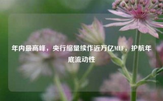 年内最高峰，央行缩量续作近万亿MLF，护航年底流动性