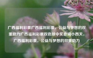 广西福利彩票广西福利彩票，公益与梦想的双重助力广西福利彩票双色球中奖查询小西天，广西福利彩票，公益与梦想的双重助力，广西福利彩票，公益与梦想的双重助力