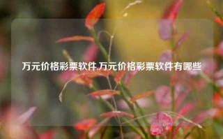 万元价格彩票软件,万元价格彩票软件有哪些