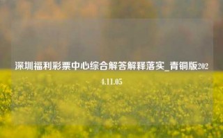 深圳福利彩票中心综合解答解释落实_青铜版2024.11.05