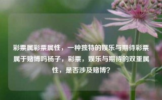 彩票属彩票属性，一种独特的娱乐与期待彩票属于赌博吗杨子，彩票，娱乐与期待的双重属性，是否涉及赌博？，彩票的双重属性，娱乐与期待，是否涉及赌博？