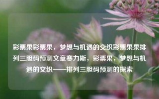 彩票果彩票果，梦想与机遇的交织彩票果果排列三胆码预测文章赛力斯，彩票果，梦想与机遇的交织——排列三胆码预测的探索，彩票果，梦想与机遇交织下的排列三胆码预测探索