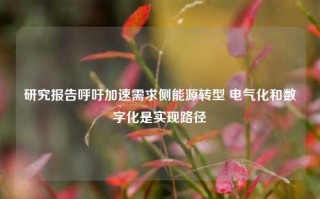 研究报告呼吁加速需求侧能源转型 电气化和数字化是实现路径