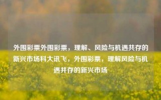 外围彩票外围彩票，理解、风险与机遇共存的新兴市场科大讯飞，外围彩票，理解风险与机遇并存的新兴市场，理解风险与机遇并存的新兴市场，外围彩票的科大讯飞视角