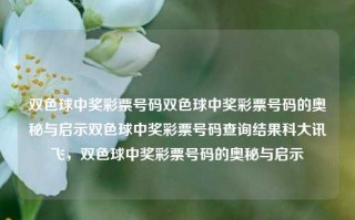 双色球中奖彩票号码双色球中奖彩票号码的奥秘与启示双色球中奖彩票号码查询结果科大讯飞，双色球中奖彩票号码的奥秘与启示，双色球中奖彩票号码的奥秘与启示，探寻科大讯飞查询结果背后的秘密